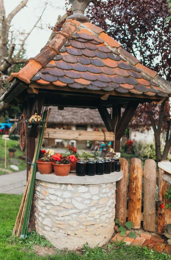 Hotel Gresna Pilnica Klenovnik Zewnętrze zdjęcie